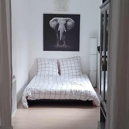 Avec Entree Et Kitchenette Privatives